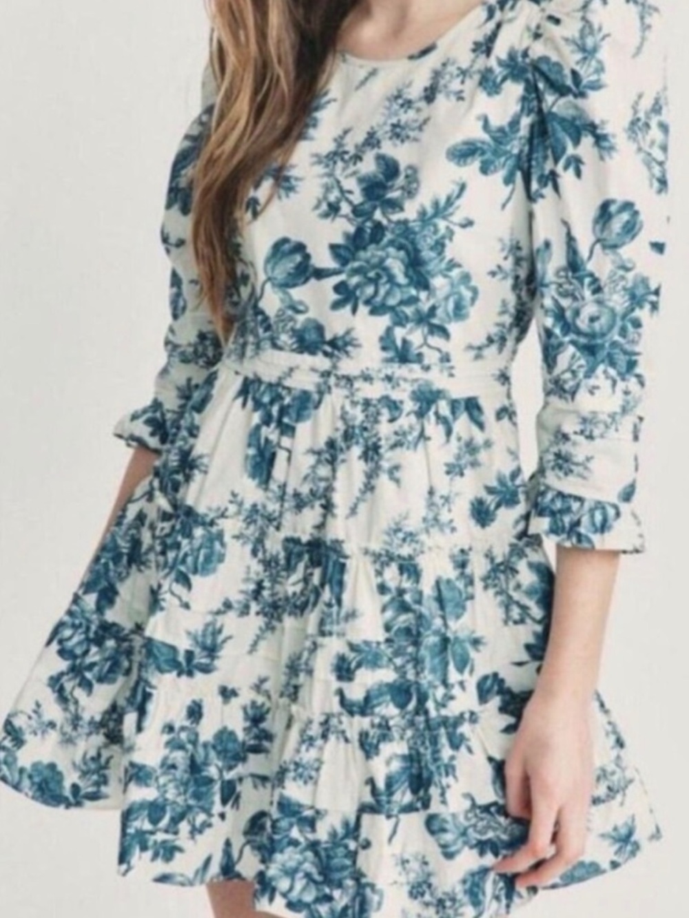 LoveShackFancy Lienzo Floral Toile Print Dress Size 4 Cottagecore coquette